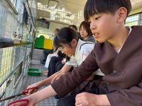 研修_複式_山本孝江_写真_9
