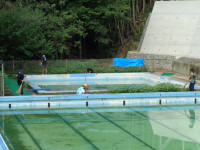 DSC00528