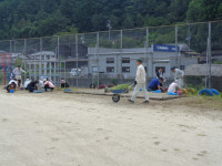 DSC00529