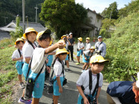 P1050010