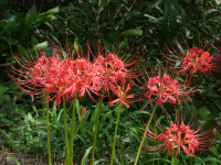 P1050028