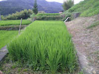 DSCF0004