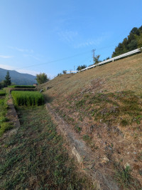PXL_20260813_215153923