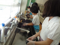 DSC01726