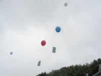 DSC01890