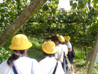 DSC02090